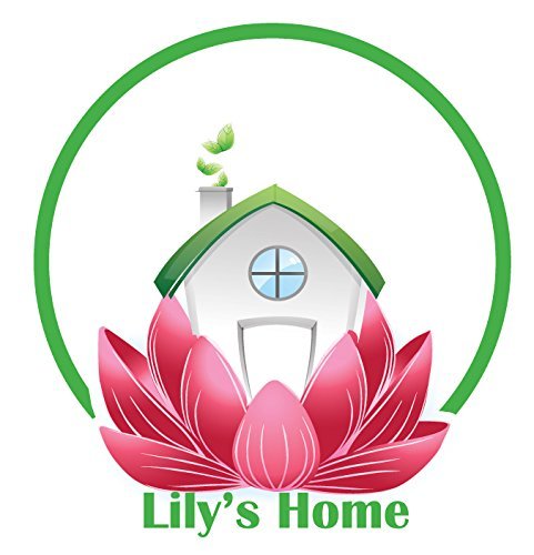 Lily 's Home estación meteorológica con termómetro, vidrio de tormenta, reloj de cuarzo de precisión y el higrómetro.